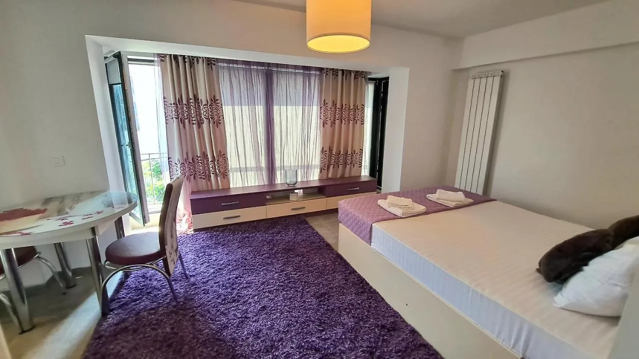 Ris Studio Dublu Universitate, Centrul Vechi Bucarest Romania